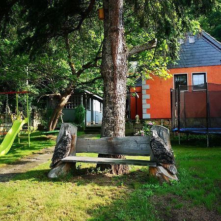 Ferienhaus Franz - An Der Elbe, Mit Grossem Garten 皮尔纳 外观 照片