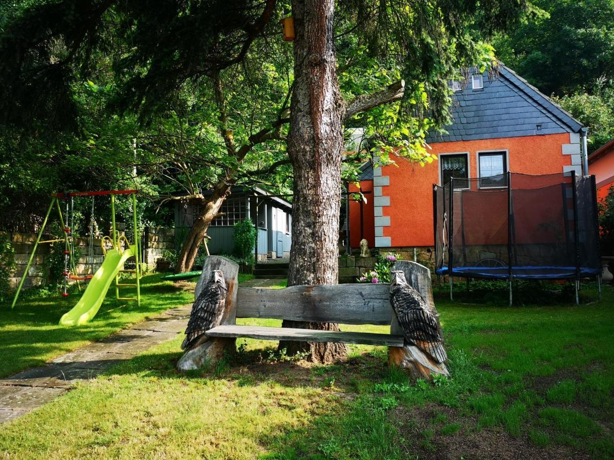 Ferienhaus Franz - An Der Elbe, Mit Grossem Garten 皮尔纳 外观 照片