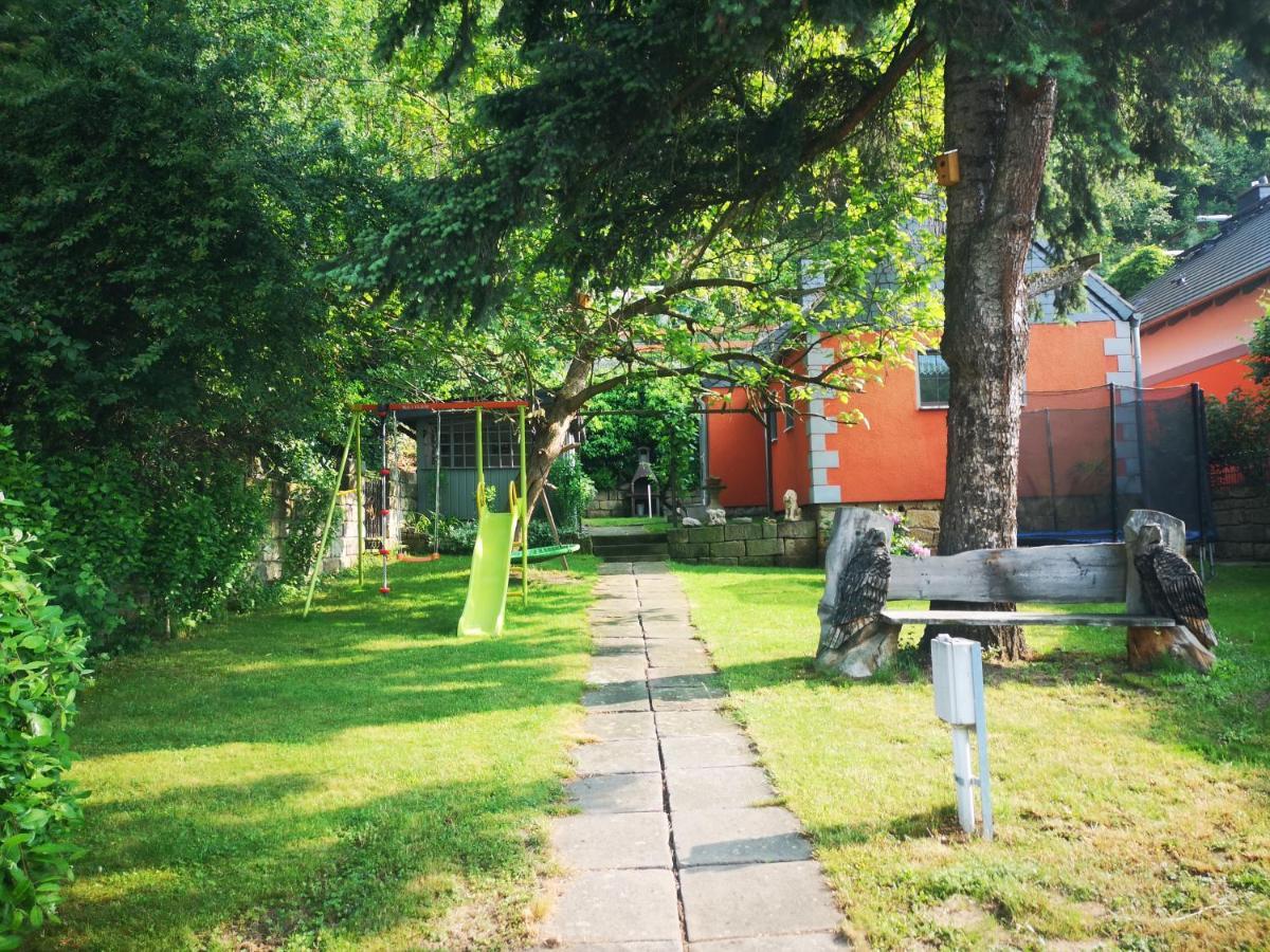 Ferienhaus Franz - An Der Elbe, Mit Grossem Garten 皮尔纳 外观 照片