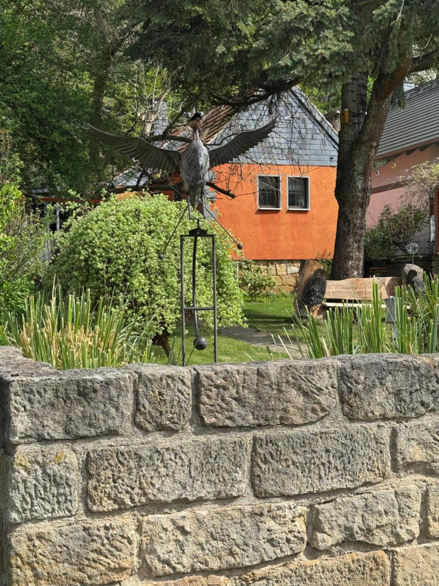 Ferienhaus Franz - An Der Elbe, Mit Grossem Garten 皮尔纳 外观 照片