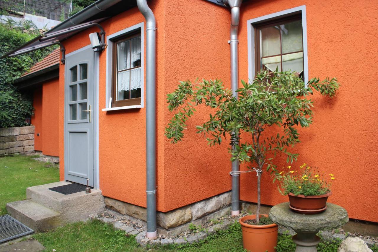 Ferienhaus Franz - An Der Elbe, Mit Grossem Garten 皮尔纳 外观 照片