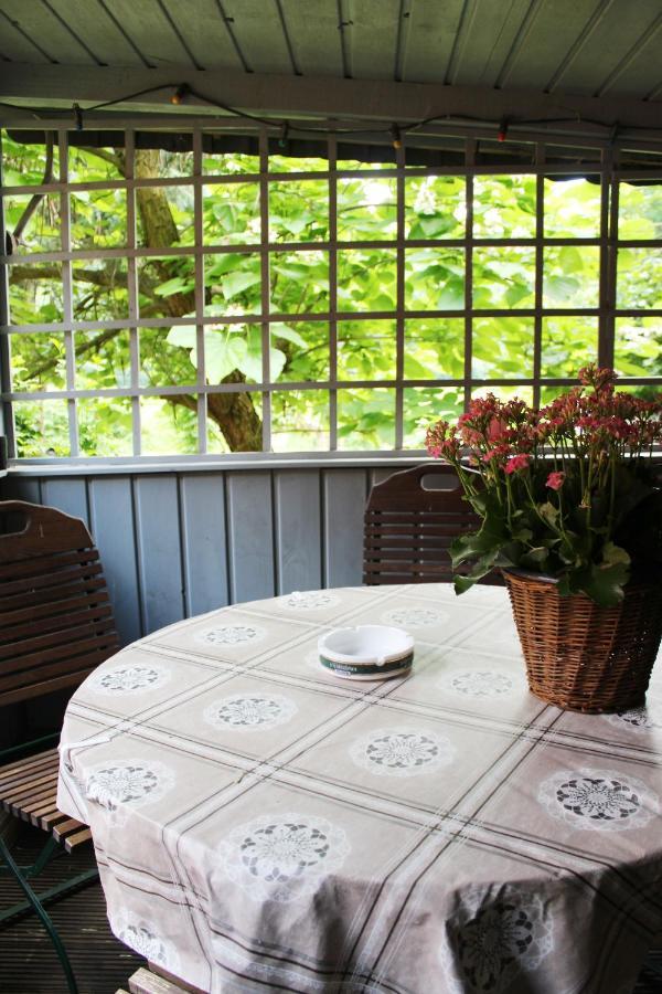 Ferienhaus Franz - An Der Elbe, Mit Grossem Garten 皮尔纳 外观 照片